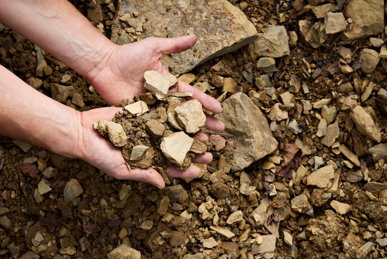 Reggine Wines Panzano in Chianti Terroir